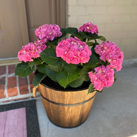 Meet your Posher - Picture 5 of 11